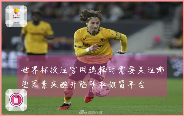 世界杯投注官网选择时需要关注哪些因素来避开陷阱和假冒平台