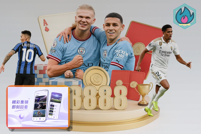 NG体育在线入口访问示意
